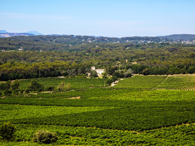 Le château Roubine