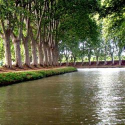 que-faire-basse-saison-portiragnes canal du midi 2