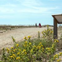 vendres-